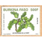 Fruits of the Forest - West Africa / Burkina Faso 2012 - 500