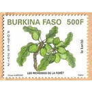 Fruits of the Forest - West Africa / Burkina Faso 2012 - 500