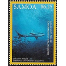 Galapagos Shark (Carcharhinus galapagensis) - Polynesia / Samoa 2016 - 6.25