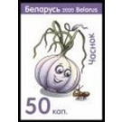 Garlic - Belarus 2020 - 50