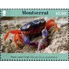 Gecarcinus quadratus - Caribbean / Montserrat 2017 - 5.50