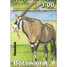 Gemsbok - South Africa / Botswana 2019 - 3