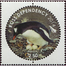 Gentoo Penguin (Pygoscelis papua) - Ross Dependency 2014 - 2.50