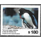 Gentoo Penguin (Pygoscelis papua) - South America / Argentina 2019 - 180