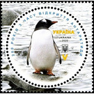 Gentoo Penguin (Pygoscelis papua) - Ukraine 2020