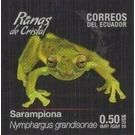 Giant Glass Frog (Nymphargus grandisonae) - South America / Ecuador 2019 - 0.50