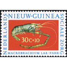 Giant Jungle Prawn (Macrobrachium lar) - Melanesia / Netherlands New Guinea 1962