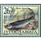 Giant Sturgeon (Huso huso) - Yugoslavia 2002 - 26.20