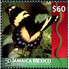Giant Swallowtail (Papilio cresphontes) - Caribbean / Jamaica 2016 - 60