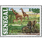 Giraffe (Giraffa camelopardalis), African Elephant (Loxodont - West Africa / Senegal 2015 - 100