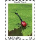 Giraffe weevil (Trachelophorus giraffa) - Caribbean / Grenada 2020 - 4