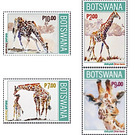 Giraffes (2020) - South Africa / Botswana 2020 Set