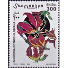 Gloriosa rothschildiana - East Africa / Somalia 2002 - 300