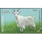 Goat - Moldova 2019 - 1.20