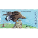 Golden Eagle (Aquila chrysaetos) - Moldova 2019 - 11