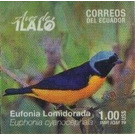 Golden-rumped Euphonia (Euphonia cyanocephala) - South America / Ecuador 2019 - 1