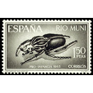 Goliath Beetle (Goliathus goliathus) - Central Africa / Equatorial Guinea  / Rio Muni 1965 - 1.50