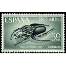 Goliath Beetle (Goliathus goliathus) - Central Africa / Equatorial Guinea  / Rio Muni 1965 - 50