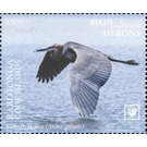 Goliath Heron (Ardea goliath) - Cook Islands, Rarotonga 2020 - 29.90