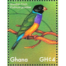 Gouldian Finch    Erythrura gouldiae - West Africa / Ghana 2017 - 4