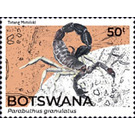 Granulated Thick-Tailed Scorpion (Parabuthus granulatus) - South Africa / Botswana 2021 - 50