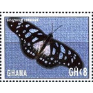 Graphium leonidas - West Africa / Ghana 2017 - 8