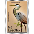 Great Blue Heron (Ardea herodias) - South Africa / Lesotho 2007 - 6