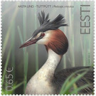 Great Crested Grebe (Podiceps cristatus) - Estonia 2020 - 0.65