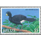 Great Curassow    Crax rubra - Central America / Belize 2009 - 5