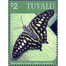 Great eggfly (Hypolimnas bolina) - Polynesia / Tuvalu 2020