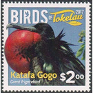 Great frigatebird - Polynesia / Tokelau 2017 - 2