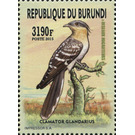 Great Spotted Cuckoo (Clamator glandarius) - East Africa / Burundi 2016