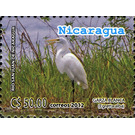Great White Egret (Ardea alba) - Central America / Nicaragua 2012 - 50