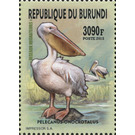 Great White Pelican (Pelecanus onocrotalus) - East Africa / Burundi 2016