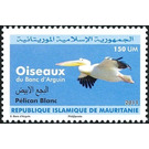 Great White Pelican - Pelecanus onocrotalus - West Africa / Mauritania 2011 - 150