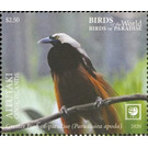 Greater Bird of Paradise (Paradisaea apoda) - Aitutaki 2020 - 2.50