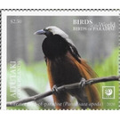 Greater Bird of Paradise (Paradisaea apoda) - Aitutaki 2020 - 2.50