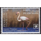 Greater Flamingo (Phoenicopterus roseus) - Polynesia / Penrhyn 2020