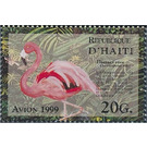 Greater Flamingo (Phoenicopterus ruber roseus) - Caribbean / Haiti 1999 - 20