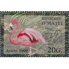 Greater Flamingo (Phoenicopterus ruber roseus) - Caribbean / Haiti 1999 - 20