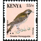 Greater Honeyguide (Indicator indicator) - East Africa / Kenya 2014 - 55