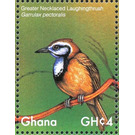 Greater Necklaced Laughingthrush    Garrulax pectoralis - West Africa / Ghana 2017 - 4