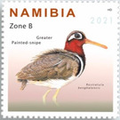 Greater Painted-Snipe (Rostratula benghalensis) - South Africa / Namibia 2021