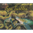 Green Sea Turtle (Chelonia mydas) - Caribbean / Dominica 2014