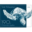 Green Sea Turtle (Chelonia mydas) - Caribbean / Sint Maarten 2021