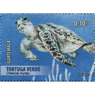 Green Sea Turtle (Chelonia mydas) - Central America / Guatemala 2015 - 10