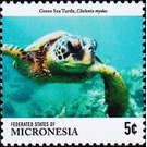 Green sea turtle - Micronesia / Micronesia, Federated States 2015 - 5