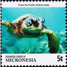 Green sea turtle - Micronesia / Micronesia, Federated States 2015 - 5