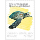 Green Sea Turtles (Chelonia mydas) - Caribbean / Bonaire 2020 - 75