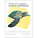 Green Sea Turtles (Chelonia mydas) - Caribbean / Bonaire 2020 - 75